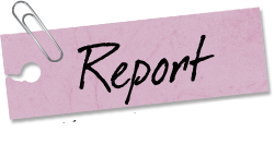 Report Kansan Collection 2012 Spring and Summer
