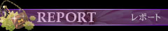 REPORT