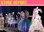 STAGE REPORT