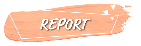REPORT