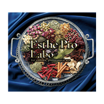 株式会社プロラボホールディングス