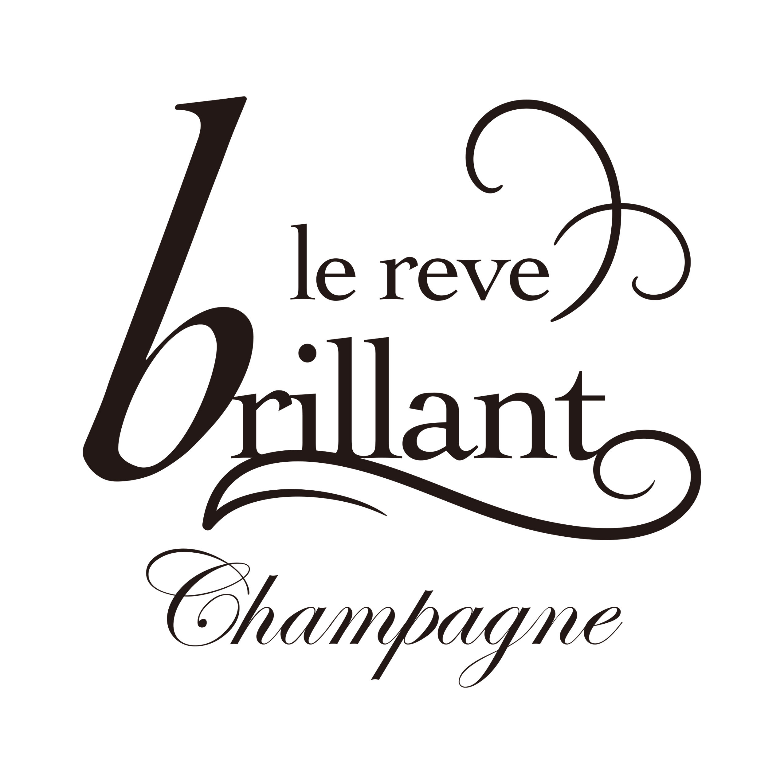 Le Reve Brillant Japan 株式会社②