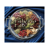 株式会社プロラボホールディングス(システム稼働用)